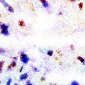 日韩人妻精品一区二区三区
